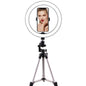 Led ring light